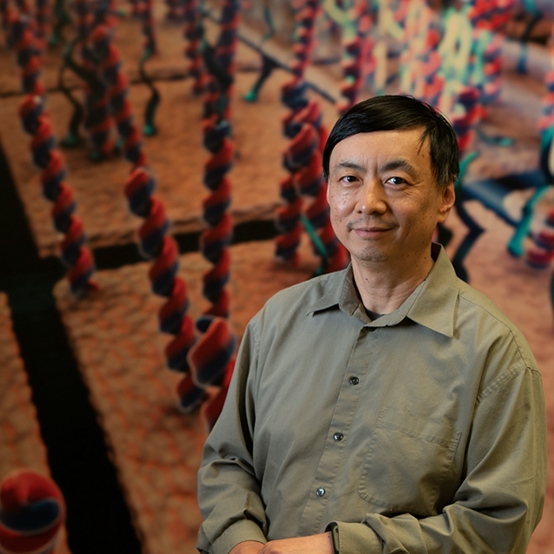 le Dr Wenzhong Xiao se tient devant un fond coloré sur le thème de la science.