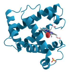 Illustration de biomolécules - Métabolisme