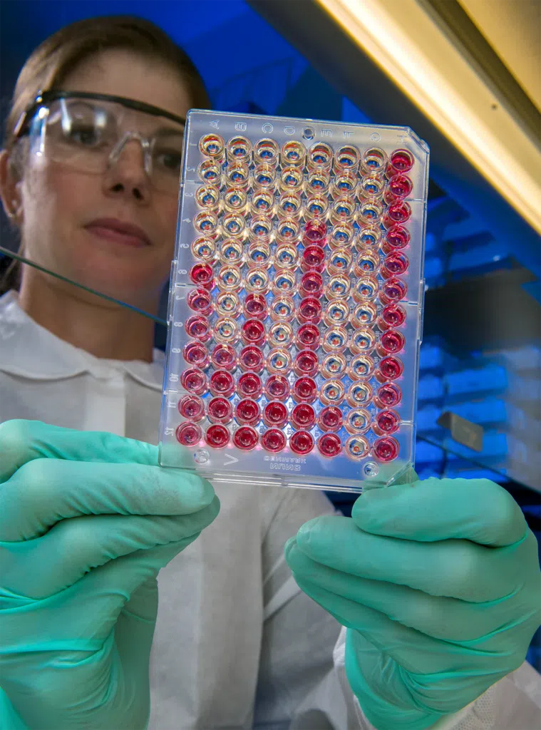 Woman researcher looking at an experiment