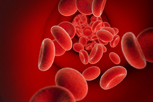 red cells in bloodstream