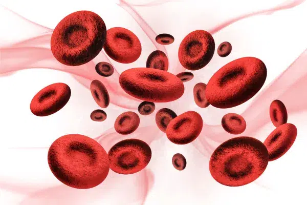 The image is a visual representation of blood flow, depicting a stream of elements against a gradient background that suggests movement and fluidity.