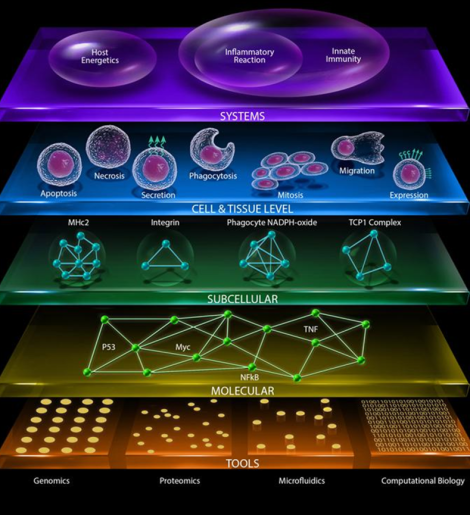 Illustration of layers of research